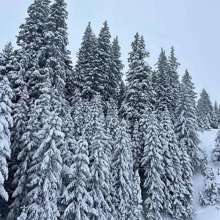 Feriehus In - Zillertal 868 Kaltenbach